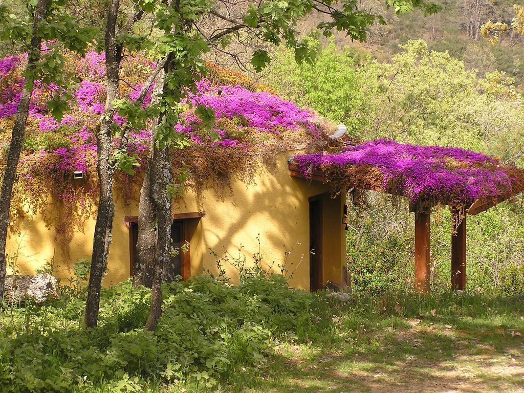 Valverde de la Vera Apartamentos Rurales Ecopangea חדר תמונה