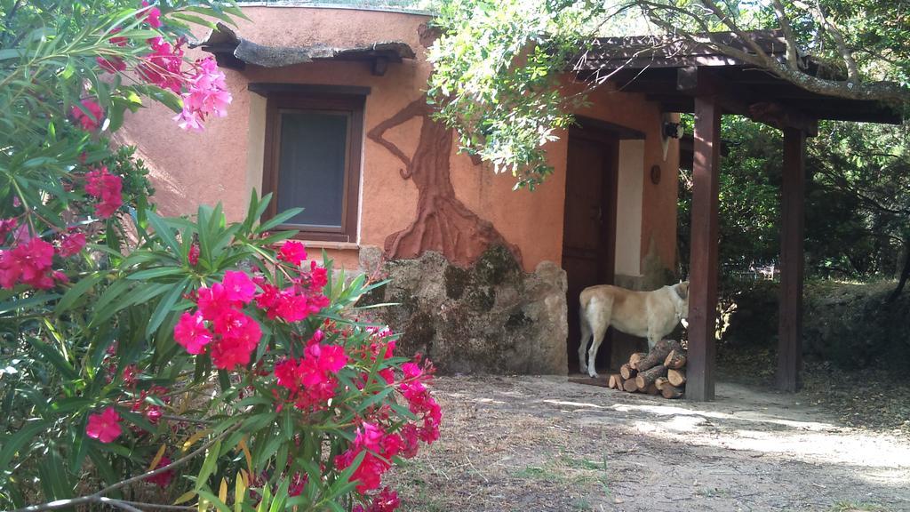 Valverde de la Vera Apartamentos Rurales Ecopangea מראה חיצוני תמונה