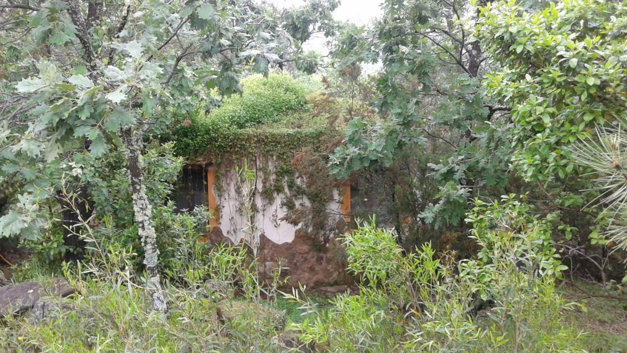 Valverde de la Vera Apartamentos Rurales Ecopangea מראה חיצוני תמונה