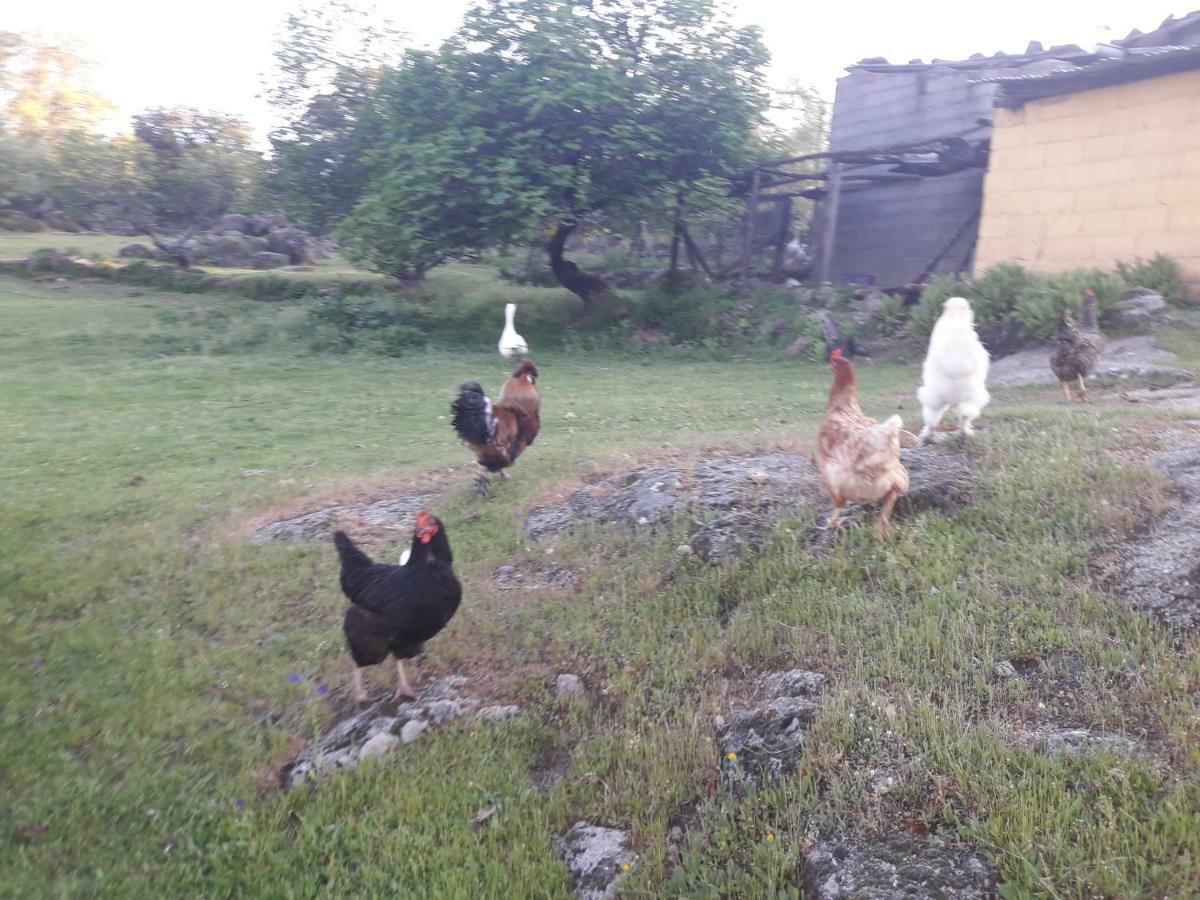 Valverde de la Vera Apartamentos Rurales Ecopangea מראה חיצוני תמונה