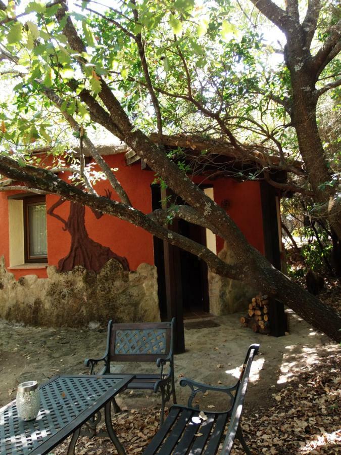 Valverde de la Vera Apartamentos Rurales Ecopangea מראה חיצוני תמונה