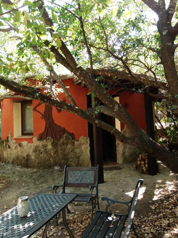 Valverde de la Vera Apartamentos Rurales Ecopangea מראה חיצוני תמונה
